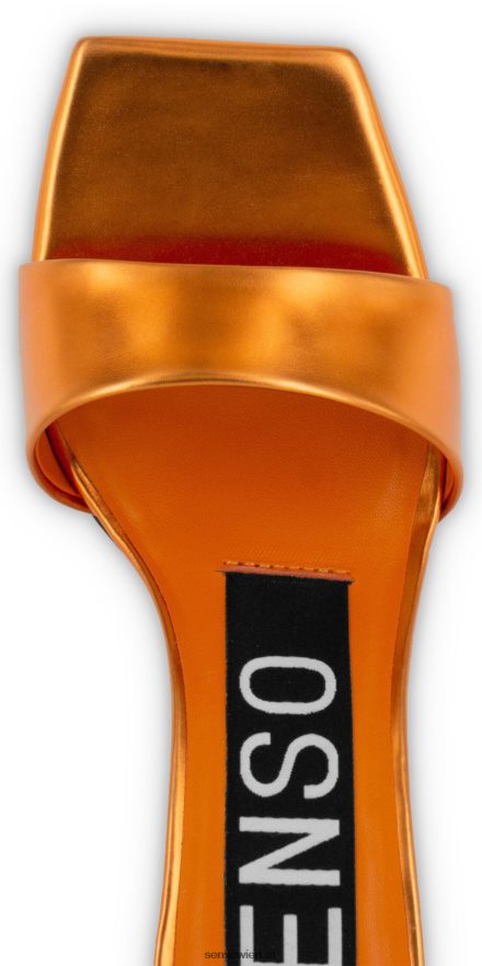 Fersen Venus und Sonnenuntergang Senso 6NZ8L8275