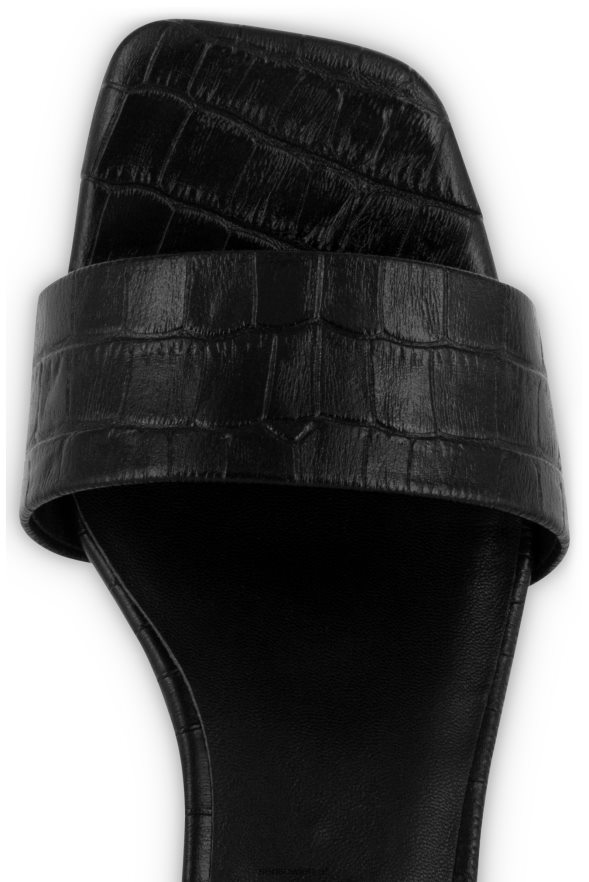 Unterschriften Maisy und Ebenholz Senso 6NZ8L8194